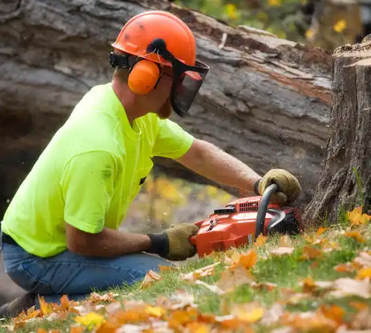 tree services Laurie